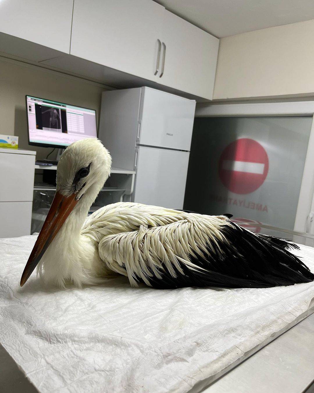 Ventura Veteriner Kliniği