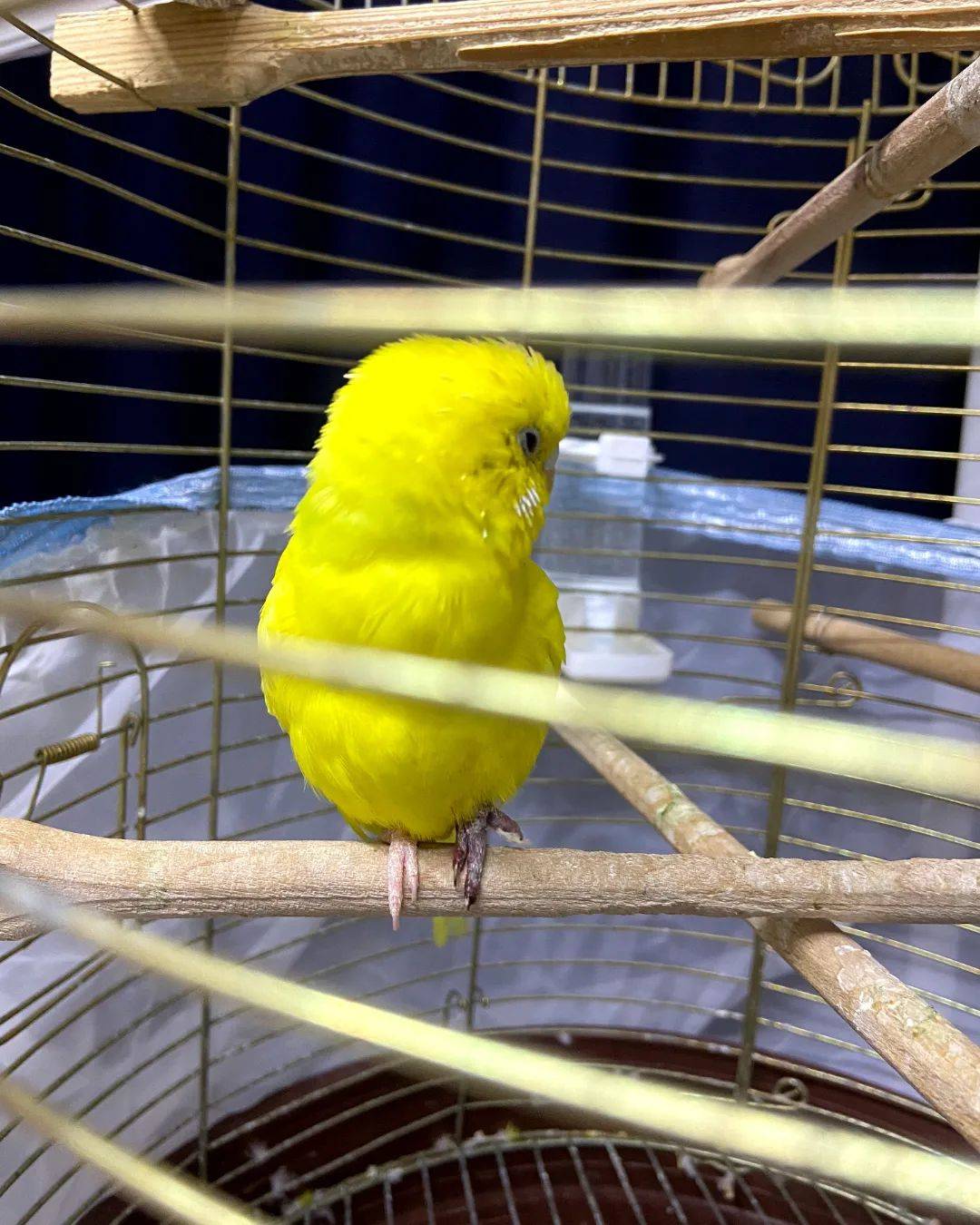 Ventura Veteriner Kliniği