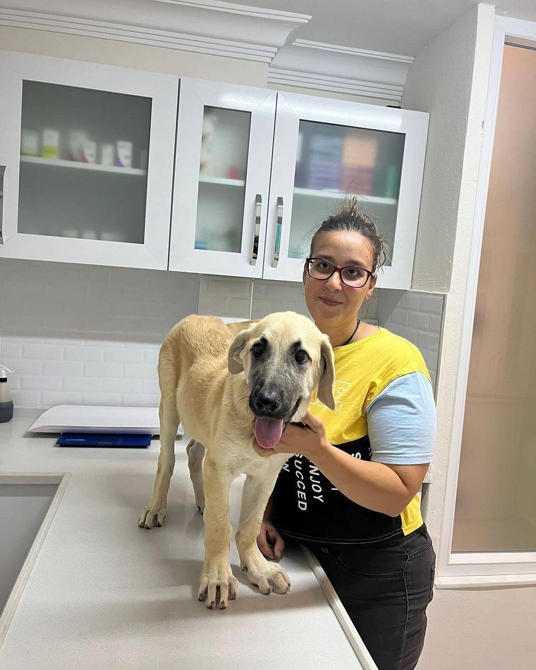 Ventura Veteriner Kliniği